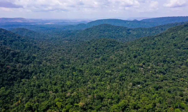 Janet Yellen promete apoiar agenda brasileira e financiamentos na Amazônia